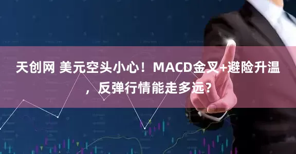 天创网 美元空头小心！MACD金叉+避险升温，反弹行情能走多远？