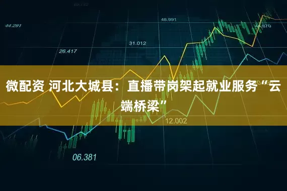 微配资 河北大城县：直播带岗架起就业服务“云端桥梁”