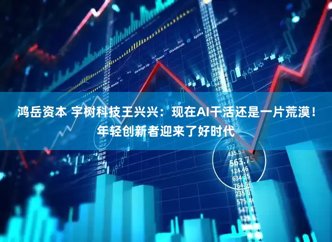 鸿岳资本 宇树科技王兴兴：现在AI干活还是一片荒漠！年轻创新者迎来了好时代