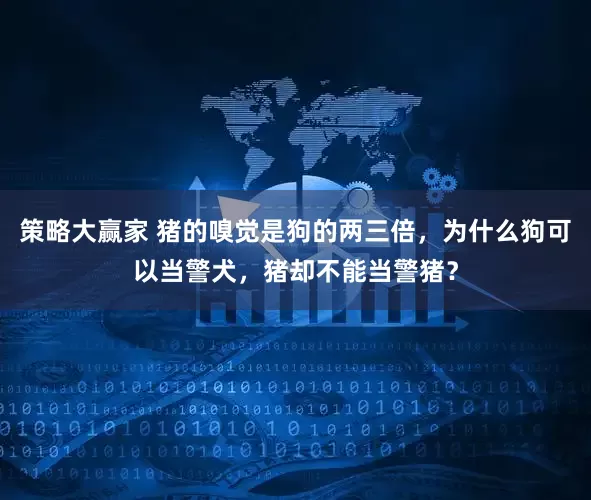 策略大赢家 猪的嗅觉是狗的两三倍，为什么狗可以当警犬，猪却不能当警猪？