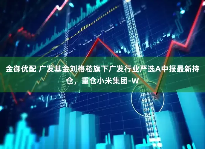 金御优配 广发基金刘格菘旗下广发行业严选A中报最新持仓，重仓小米集团-W