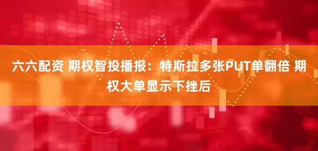 六六配资 期权智投播报：特斯拉多张PUT单翻倍 期权大单显示下挫后