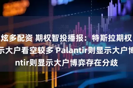 炫多配资 期权智投播报：特斯拉期权异动大单显示大户看空较多 Palantir则显示大户博弈存在分歧